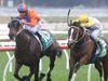 Champion Stakes not above Equator