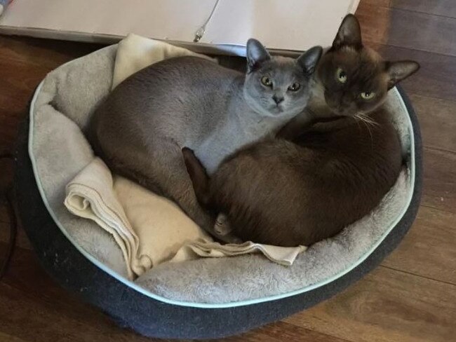 8-month-old Zeke keeping warm with 3-year-old Bentley. Picture: Leanne