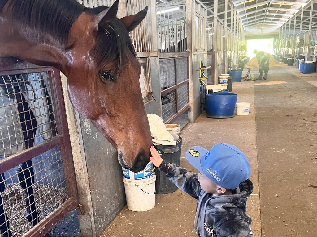 Kai, 3, is a natural with horses. Picture: Supplied