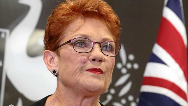 Senator Pauline Hanson holds a press conference. Picture: Liam Kidston