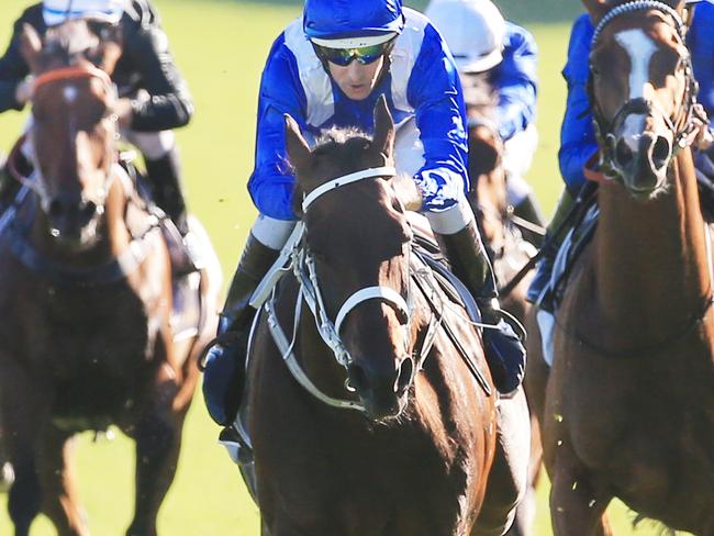 Winx ridden by Hugh Bowman, wins race 8 the Apollo Stakes at Randwick. pic Mark Evans