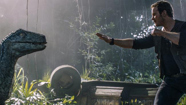 Owen (Chris Pratt) is reunited with velociraptor Blue in a scene from Jurassic World: Fallen Kingdom.