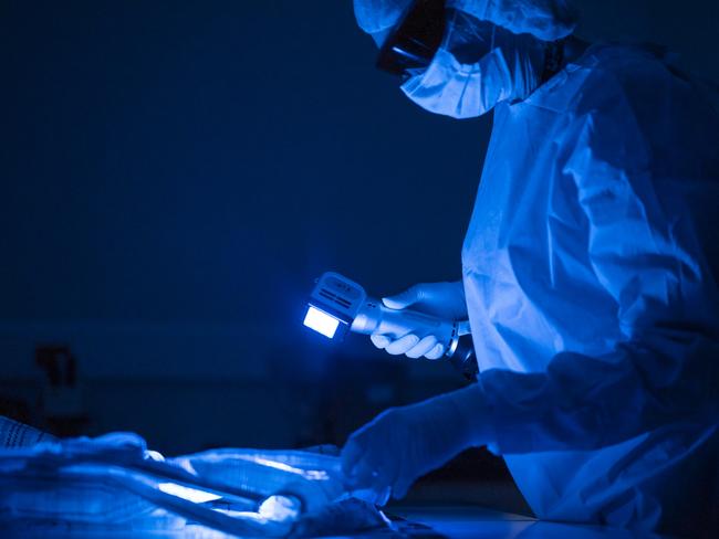 ‘Critical DNA evidence’: Court cases hindered by forensic lab saga