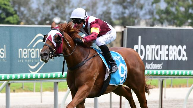 Two-year-old Swift Witness wins at the Gold Coast last Saturday. Credit: Grant Peters, Trackside Photography