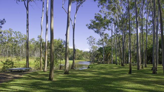 TONDOON BOTANICAL GARDENS. Photo Mike Richards / The Observer