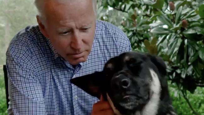 Joe Biden with his adopted dog Major. Picture: Instagram