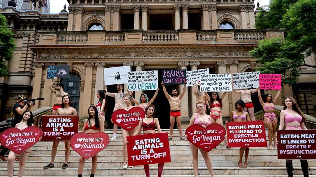 The pro-vegan demonstration took place on Sunday morning. Picture: NCA NewsWire/ Nicholas Eagar