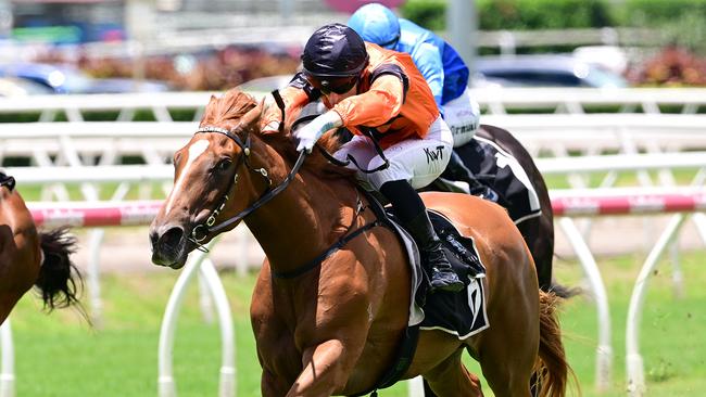 Dushenka caused a boilover in the opener at Eagle Farm on Saturday Picture: Grant Peters/Trackside Photography