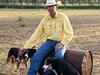 How the humble working dog is keeping properties running