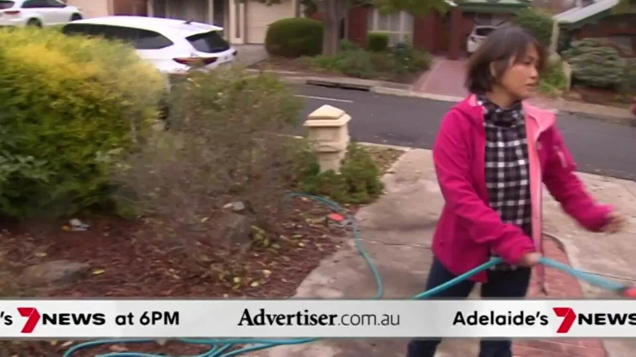 The Advertiser, 7NEWS Adelaide: Wild servo road rage, Boost for SA farmers