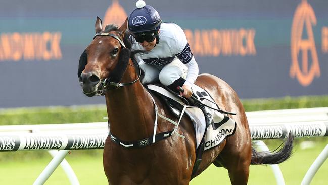 Time To Boogie wins at Randwick.