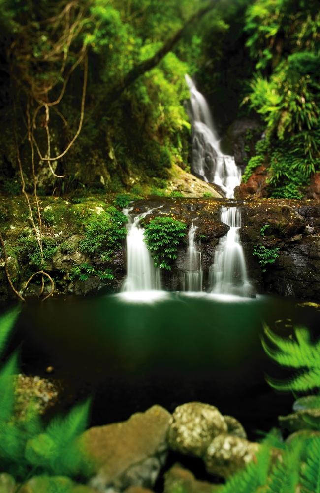 Elabana Falls. Photo: Supplied