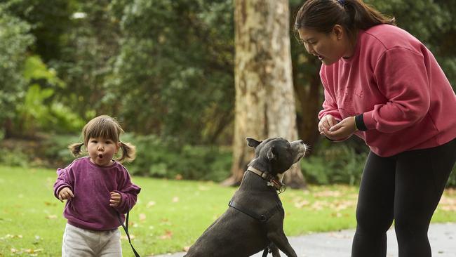 Million Paws Walk at Adelaide Botanic Gardens. Picture: Matt Loxton