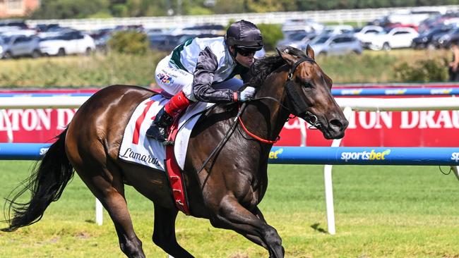 Mr Brightside takes out the Futurity Stakes at Caulfield for his sixth Group 1 win. Picture: Reg Ryan/Racing Photos via Getty Images