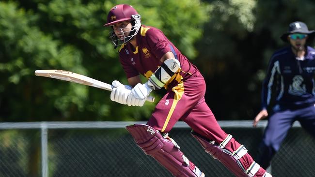 Lions skipper Ejaaz Alavi. Picture: Steve Tanner