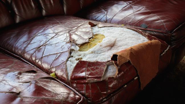 There was a hole in the couch. Picture: iStock