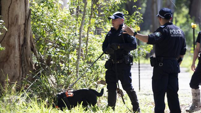 Police with cadaver dogs conducted a new search for William Tyrrell at Kendall following new information in November 2021. Picture: Shane Chalker