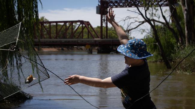 Kurt Klun from Loxton celebrates Australia Day in The Bert Dix Memorial Park on the Murray at Renmark. Picture: Emma Brasier