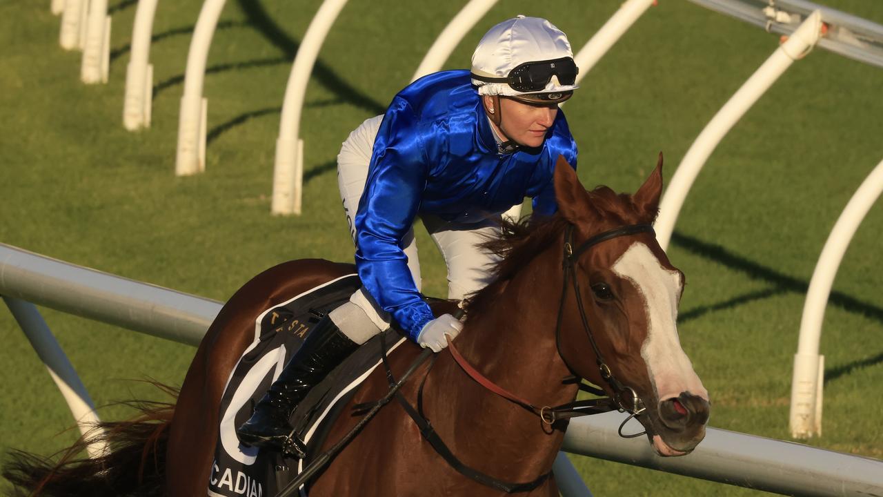 Bowman will ride Doncaster Mile winner Cascadian in the Winx Stakes. Picture: Getty Images