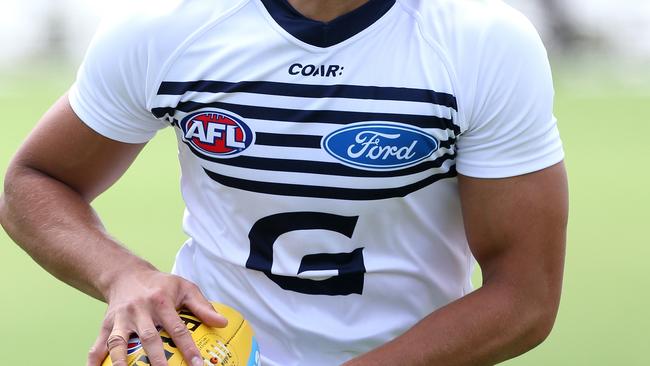 Geelong best sale football jumper