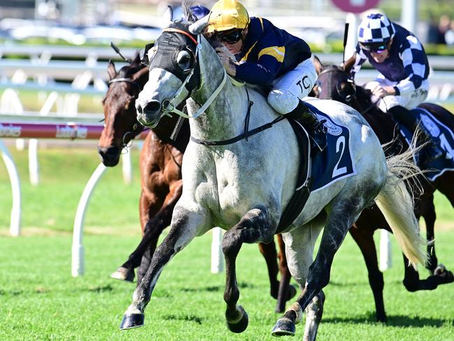 Luncies breaks through for his first win in more than two years under jockey Tim Clark. Picture: Grant Peters - Trackside Photography