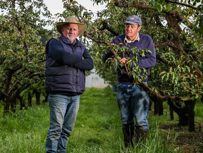 $350m damage bill from huge hailstorm – but help is coming