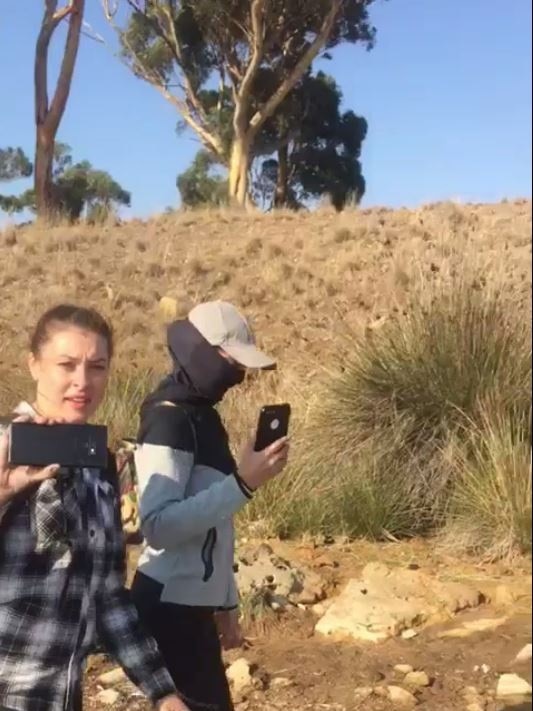 Gotcha: This still from the footage (above) shows one activist with her face covered, while the other looks directly at the camera, prior to them entering the water to film and confront Brett Kirby on March 16.