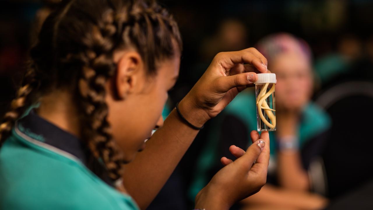 Student Day: Students from the region will be engaged in stimulating and inspiring hands-on experiences that showcase careers in STEM. Picture: Queensland Museum