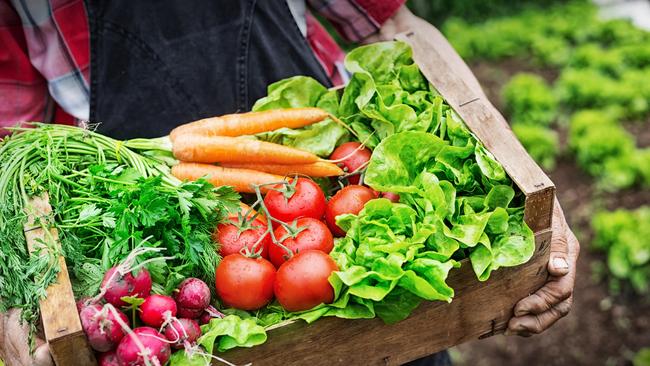 Western Sydney Parklands could receive a new ‘urban farm’ under proposed plans lodged to Fairfield City Council.