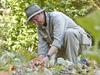 HOME GARDEN garden recovery. Anita Rayner working in Vaucluse House kitchen garden before the recent hail storms