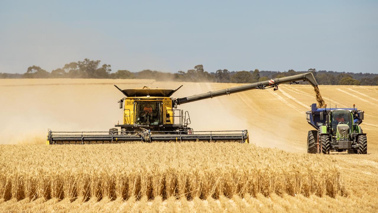 Wheat harvesting in action. Picture: Zoe Phillips