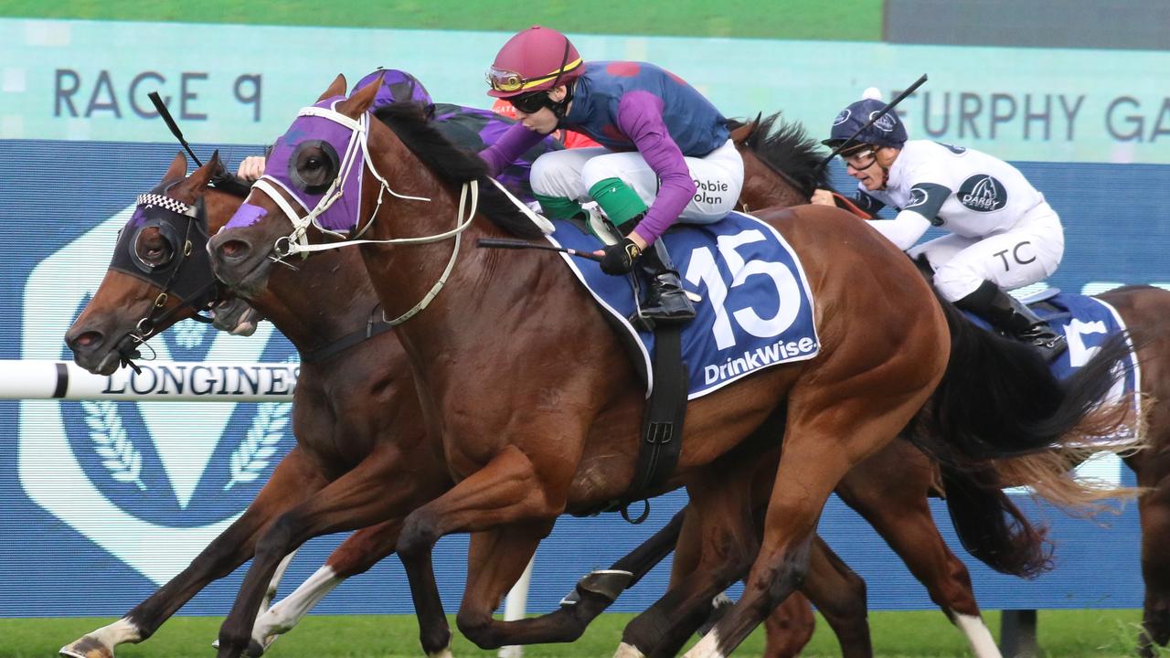 Shelby Sixty capped hius amazing autumn campaign with a win in the Group 1 Galaxy at Rosehill. Picture: Grant Guy