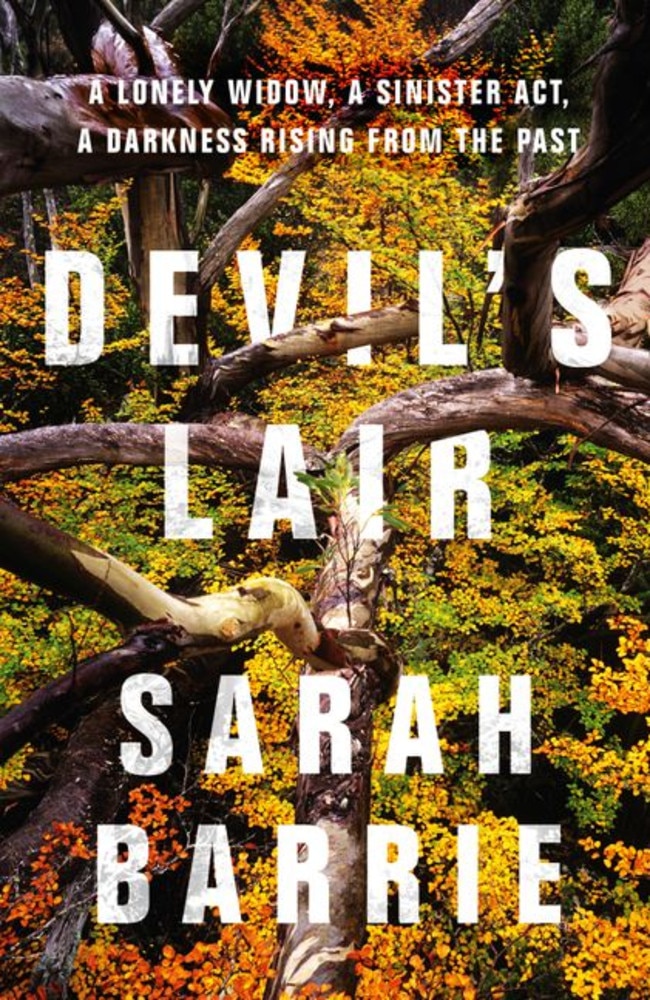 Devil's Lair by Sarah Barrie.