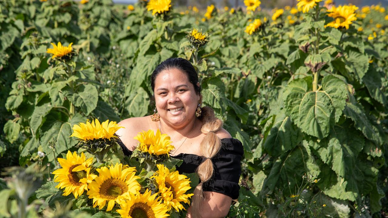 Enjoying her first visit to a sunflower field is Savelina Curry.Open day at Warraba Sunflowers, Cambooya. Saturday June 29th, 2024