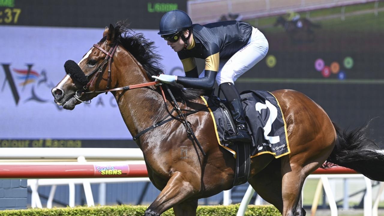 Hardpoint will appreciate a big drop back in grade and looks hard to beat in the final event at Newcastle. Picture: Bradley Photos