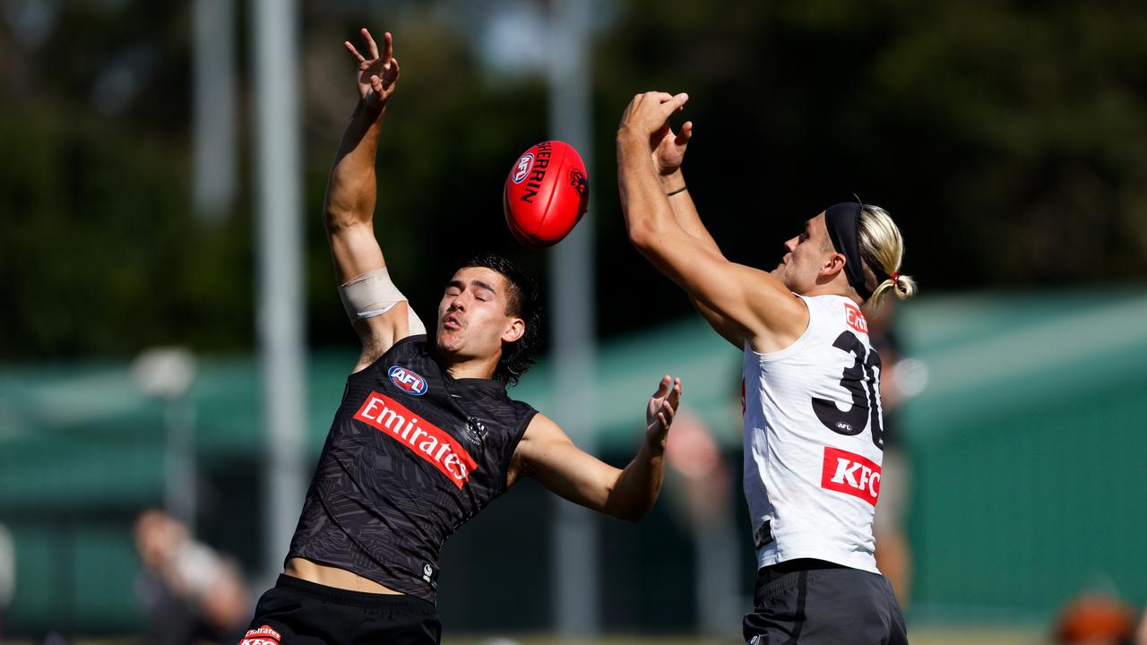 Reef McInnes competes against Darcy Moore. Picture: Dylan Burns/AFL Photos via Getty Images