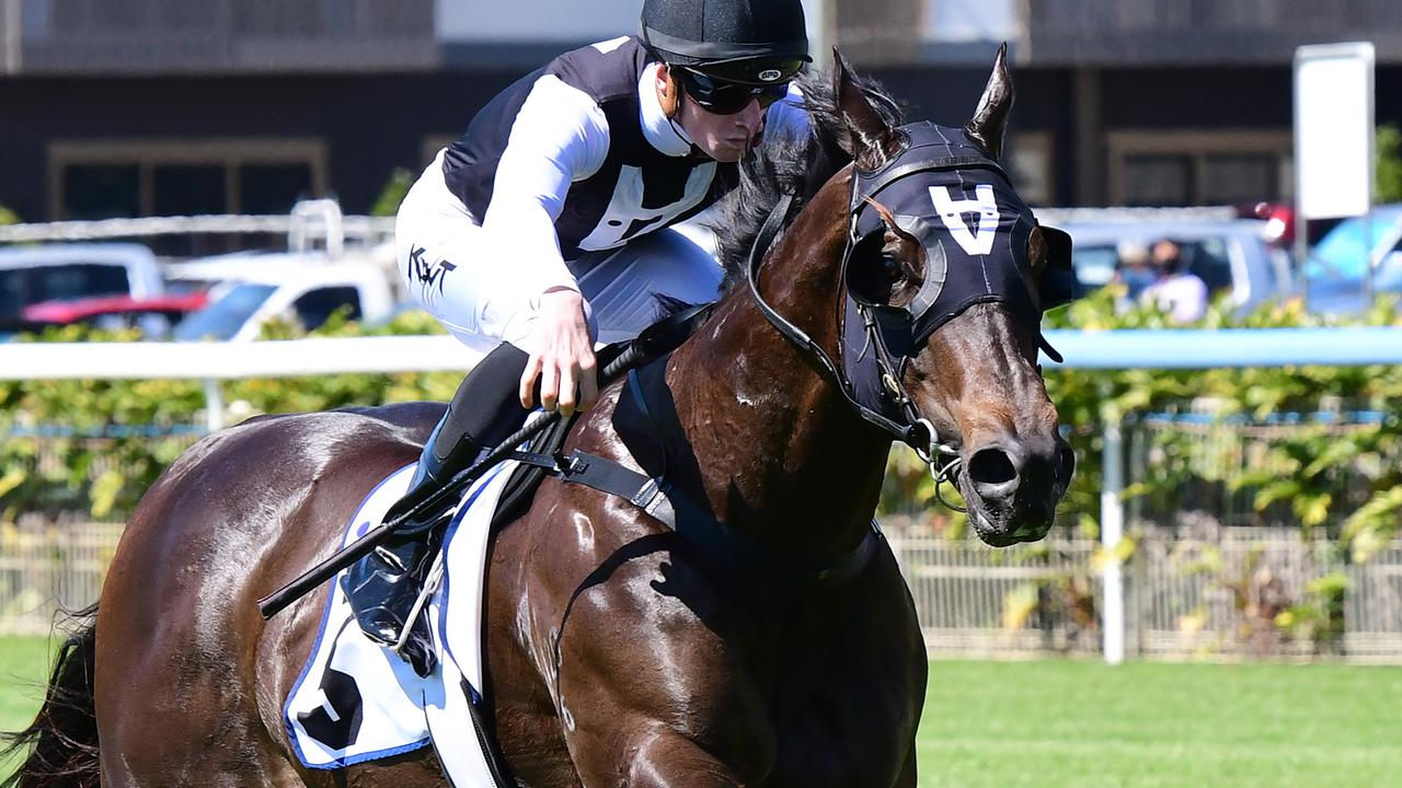 Thornton will ride The Move against The Odyssey at Gold Coast. Picture: Trackside Photography