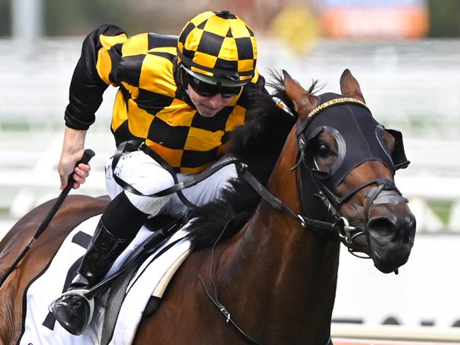 MELBOURNE, AUSTRALIA - FEBRUARY 20:  Damian Lane riding Probabeel to win race 6, the Lamaros Sth Melbourne Futurity Stakes, during Blue Diamond Stakes Day at Caulfield Racecourse on February 20, 2021 in Melbourne, Australia. (Photo by Vince Caligiuri/Getty Images)