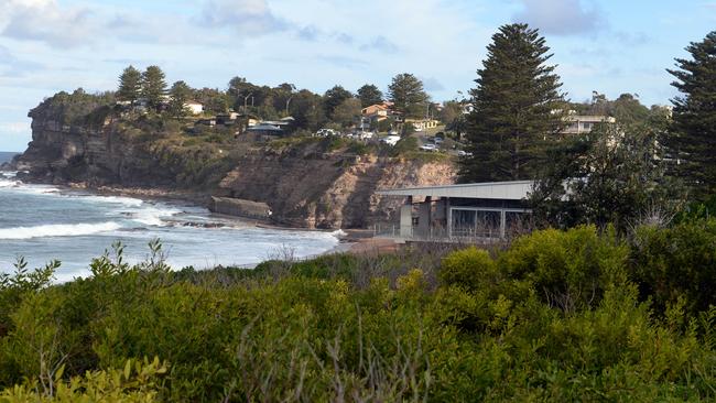 Avalon, pictured, is notorious for ticks in Australia, along with the whole of the northern beaches and other areas of Sydney’s coastline.