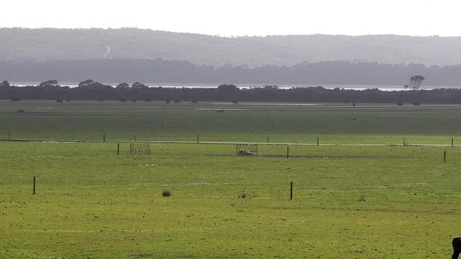 The proposed site of the Robbins Island wind farm development. Picture: CHRIS KIDD