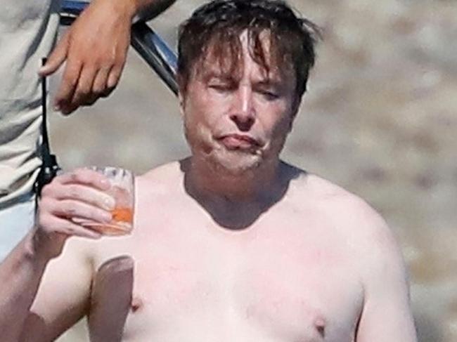 ‘Damn’: Elon Musk hits back at topless photo