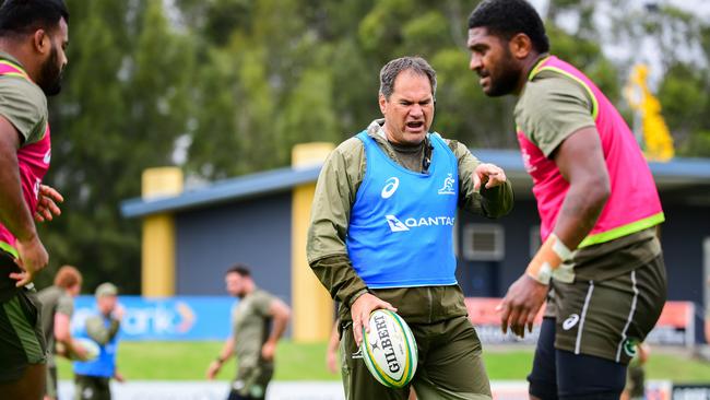 Wallabies head coach Dave Rennie said last year Dan McKellar could take over him following the World Cup. Photo: Stuart Walmsley / Rugby Australia