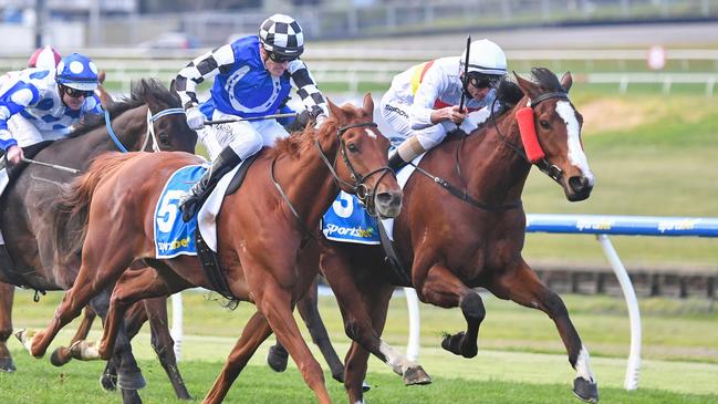 My Brothers Keeper (right) gets another crack at 2400m after winning over 2100m at Sandown Lakeside last start. Picture: Pat Scala/Racing Photos via Getty Images