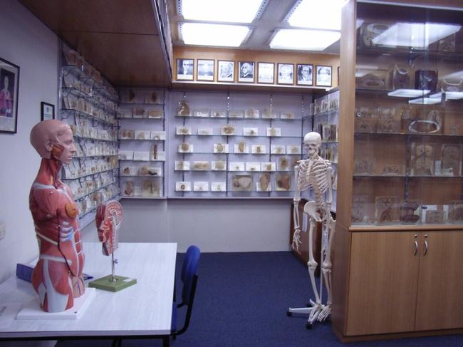 R.A.Rodda Museum of Pathology. Picture: University of Tasmania