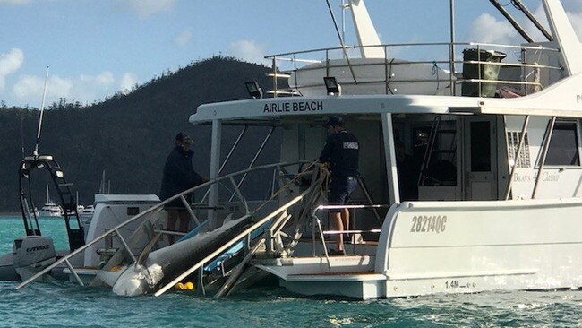 A tiger shark is retrieved from Cid Harbour after being caught in drum lines.