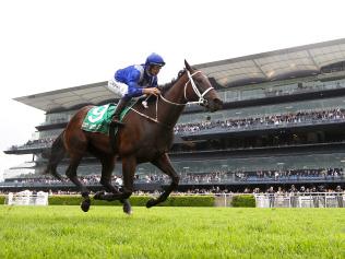 Winx ridden by Hugh Bowman win the TAB Chipping Norton Stakes Race during the TAB Chipping Norton Stakes Day at Royal Randwick race course in Sydney, Saturday, Feb. 25, 2017. Their race win today is their 15th consecutive. (AAP Image/David Moir) NO ARCHIVING