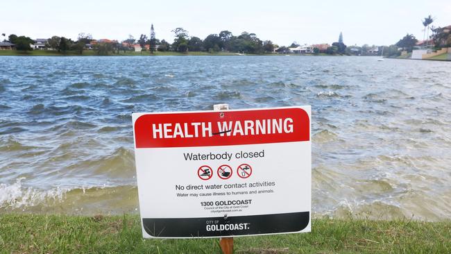 Lake Hugh Muntz in Mermaid Waters. Photograph: Jason O'Brien