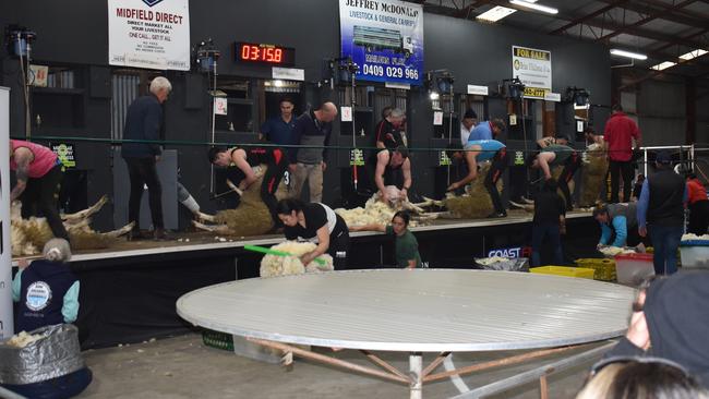 The sheep shearing competition in progress at the Warrnambool Show.