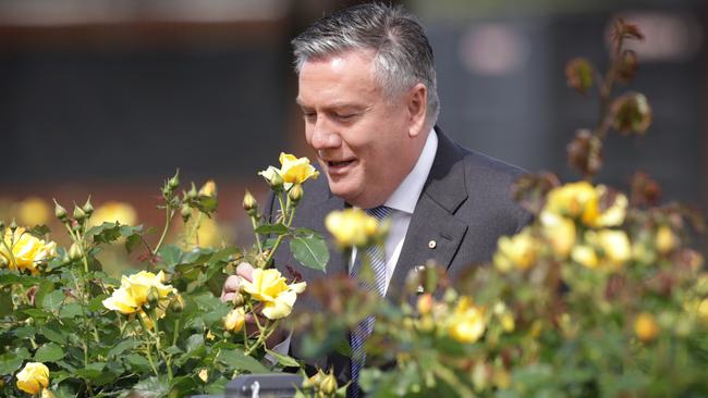 Eddie McGuire stops to smell the roses at Flemington. The yellow blooms hold a special place in his heart. Picture: David Caird