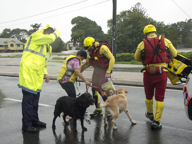 Palm St Resident Cathy Seiver, her dogs and elderly mother are assisted out of her street by QFES Swift water Rescue team members in Mackay. Picture: AAP